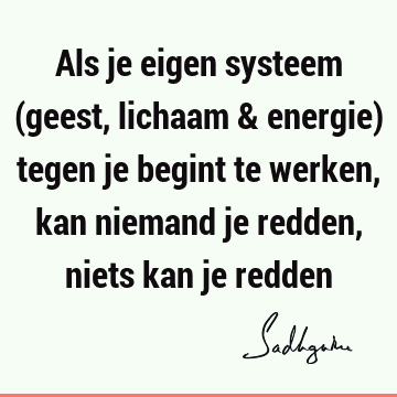 Als je eigen systeem (geest, lichaam & energie) tegen je begint te werken, kan niemand je redden, niets kan je