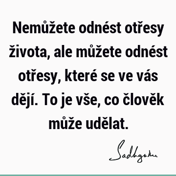 Nemůžete odnést otřesy života, ale můžete odnést otřesy, které se ve vás dějí. To je vše, co člověk může udě