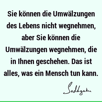 Sie können die Umwälzungen des Lebens nicht wegnehmen, aber Sie können die Umwälzungen wegnehmen, die in Ihnen geschehen. Das ist alles, was ein Mensch tun