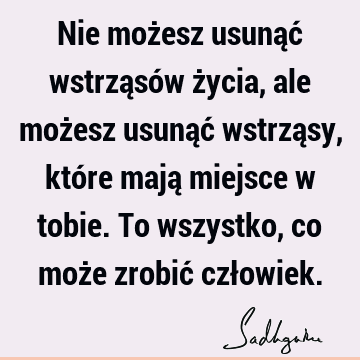 Nie możesz usunąć wstrząsów życia, ale możesz usunąć wstrząsy, które mają miejsce w tobie. To wszystko, co może zrobić czł