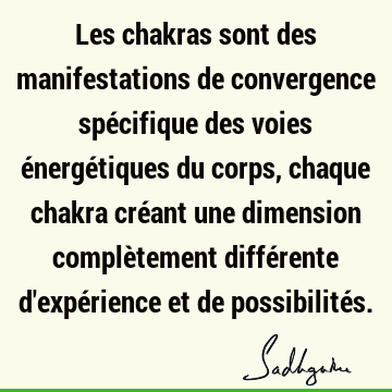 Les chakras sont des manifestations de convergence spécifique des voies énergétiques du corps, chaque chakra créant une dimension complètement différente d