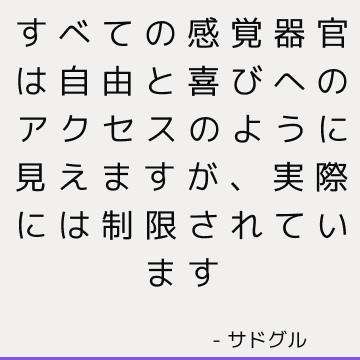 すべての感覚器官は自由と喜びへのアクセスのように見えますが、実際には制限されています