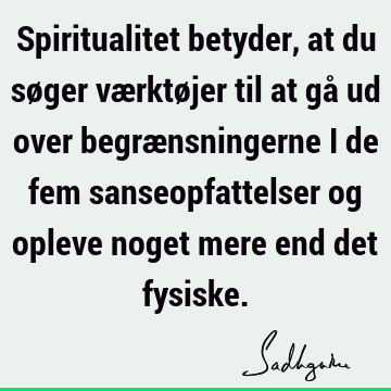 Spiritualitet betyder, at du søger værktøjer til at gå ud over begrænsningerne i de fem sanseopfattelser og opleve noget mere end det