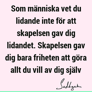 Som människa vet du lidande inte för att skapelsen gav dig lidandet. Skapelsen gav dig bara friheten att göra allt du vill av dig sjä