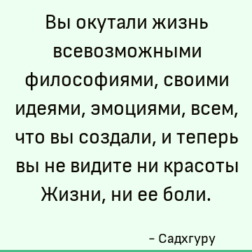 Вы окутали жизнь всевозможными философиями, своими идеями, эмоциями, всем, что вы создали, и теперь вы не видите ни красоты Жизни, ни ее боли