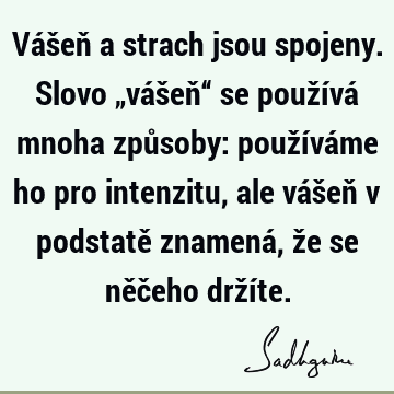 Vášeň a strach jsou spojeny. Slovo „vášeň“ se používá mnoha způsoby: používáme ho pro intenzitu, ale vášeň v podstatě znamená, že se něčeho drží