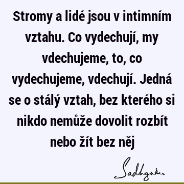 Stromy a lidé jsou v intimním vztahu. Co vydechují, my vdechujeme, to, co vydechujeme, vdechují. Jedná se o stálý vztah, bez kterého si nikdo nemůže dovolit