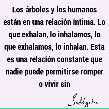 Los árboles y los humanos están en una relación íntima. Lo que exhalan, lo inhalamos, lo que exhalamos, lo inhalan. Esta es una relación constante que nadie