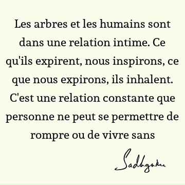 Les arbres et les humains sont dans une relation intime. Ce qu