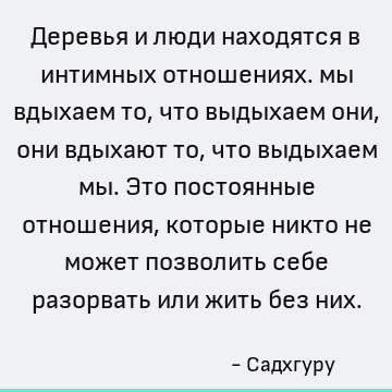 Деревья и люди находятся в интимных отношениях. мы вдыхаем то, что выдыхаем они, они вдыхают то, что выдыхаем мы. Это постоянные отношения, которые никто не мож