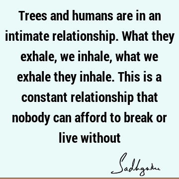 Trees and humans are in an intimate relationship. What they exhale, we inhale, what we exhale they inhale. This is a constant relationship that nobody can