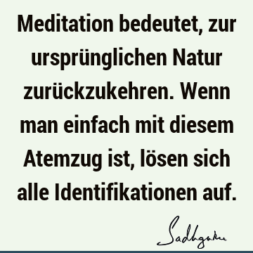 Meditation bedeutet, zur ursprünglichen Natur zurückzukehren. Wenn man einfach mit diesem Atemzug ist, lösen sich alle Identifikationen