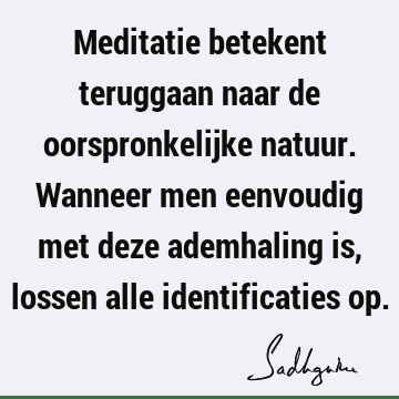 Meditatie betekent teruggaan naar de oorspronkelijke natuur. Wanneer men eenvoudig met deze ademhaling is, lossen alle identificaties