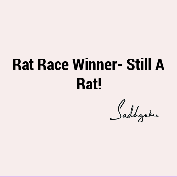Rat Race Winner- Still A Rat!