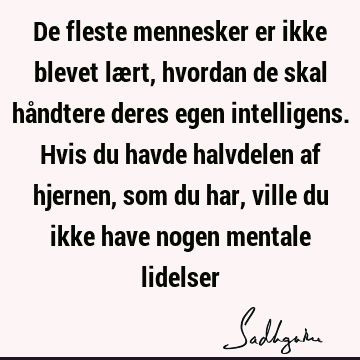 De fleste mennesker er ikke blevet lært, hvordan de skal håndtere deres egen intelligens. Hvis du havde halvdelen af hjernen, som du har, ville du ikke have