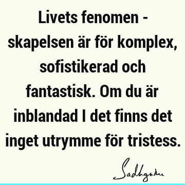 Livets fenomen - skapelsen är för komplex, sofistikerad och fantastisk. Om du är inblandad i det finns det inget utrymme för