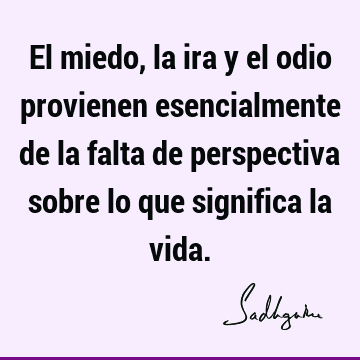 El miedo, la ira y el odio provienen esencialmente de la falta de perspectiva sobre lo que significa la