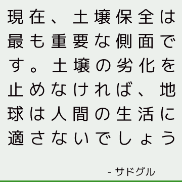 現在、土壌保全は最も重要な側面です。 土壌の劣化を止めなければ、地球は人間の生活に適さないでしょう