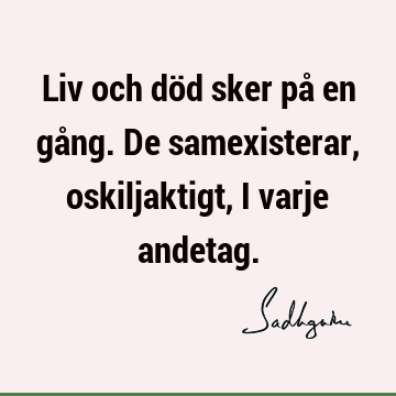 Liv och död sker på en gång. De samexisterar, oskiljaktigt, i varje