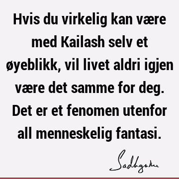 Hvis du virkelig kan være med Kailash selv et øyeblikk, vil livet aldri igjen være det samme for deg. Det er et fenomen utenfor all menneskelig