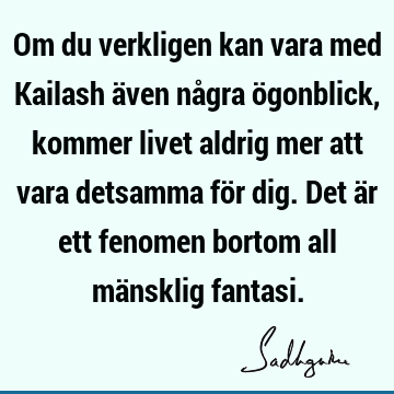 Om du verkligen kan vara med Kailash även några ögonblick, kommer livet aldrig mer att vara detsamma för dig. Det är ett fenomen bortom all mänsklig