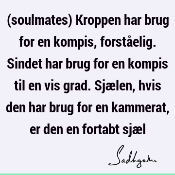 (soulmates) Kroppen har brug for en kompis, forståelig. Sindet har brug for en kompis til en vis grad. Sjælen, hvis den har brug for en kammerat, er den en