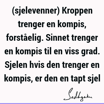 (sjelevenner) Kroppen trenger en kompis, forståelig. Sinnet trenger en kompis til en viss grad. Sjelen hvis den trenger en kompis, er den en tapt