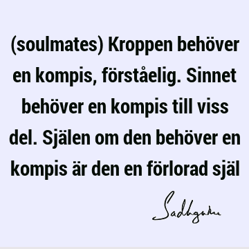 (soulmates) Kroppen behöver en kompis, förståelig. Sinnet behöver en kompis till viss del. Själen om den behöver en kompis är den en förlorad sjä