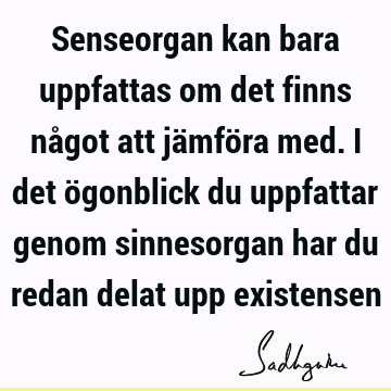 Senseorgan kan bara uppfattas om det finns något att jämföra med. I det ögonblick du uppfattar genom sinnesorgan har du redan delat upp