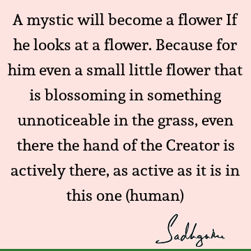 A mystic will become a flower If he looks at a flower. Because for him even a small little flower that is blossoming in something unnoticeable in the grass,