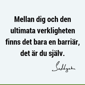 Mellan dig och den ultimata verkligheten finns det bara en barriär, det är du sjä