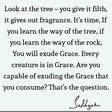 Look at the tree – you give it filth, it gives out fragrance. It’s time, If you learn the way of the tree, if you learn the way of the rock, You will exude G