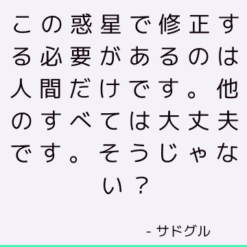 この惑星で修正する必要があるのは人間だけです。 他のすべては大丈夫です。 そうじゃない？